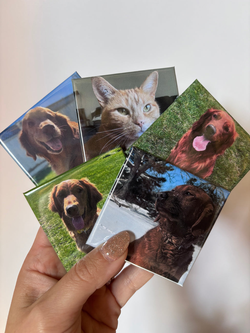 PET MAGNETS • Pack of 3 - Custom Acrylic Photo Magnet – Turn Your Memories Into Magic