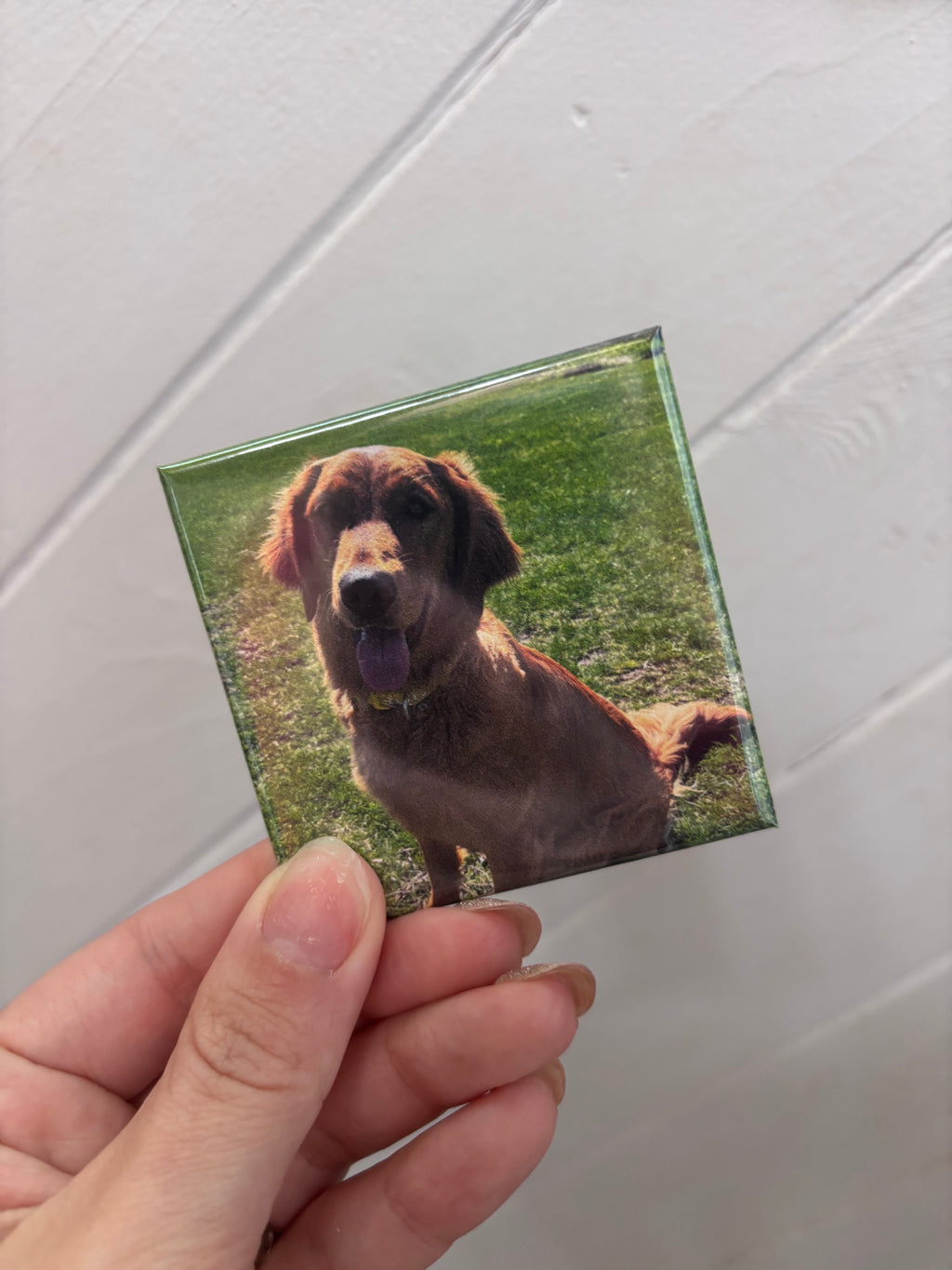 Pack of 6 - Custom Acrylic Photo Magnet – Turn Your Memories Into Magic