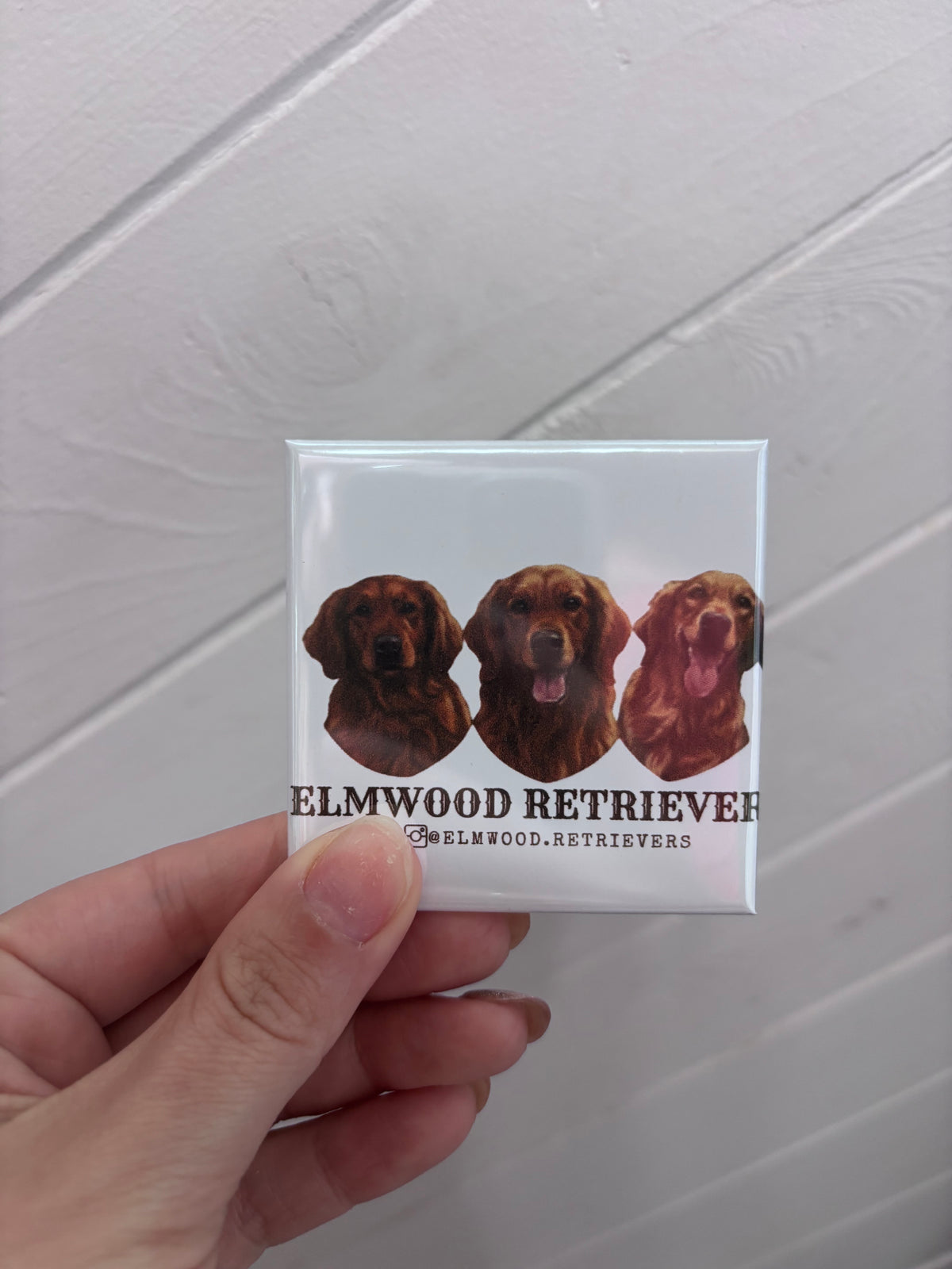 Pack of 12 - Custom Acrylic Photo Magnet – Turn Your Memories Into Magic